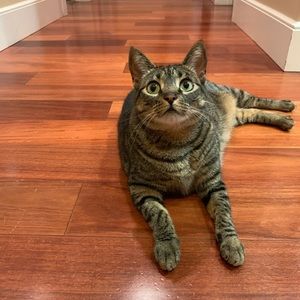 Meet your Posher, Shawni